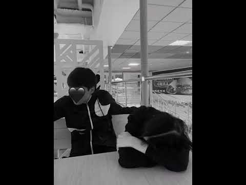 Видео: я бор накади ба гапм 2021 ЯНГА БГУ ДГОНАТА