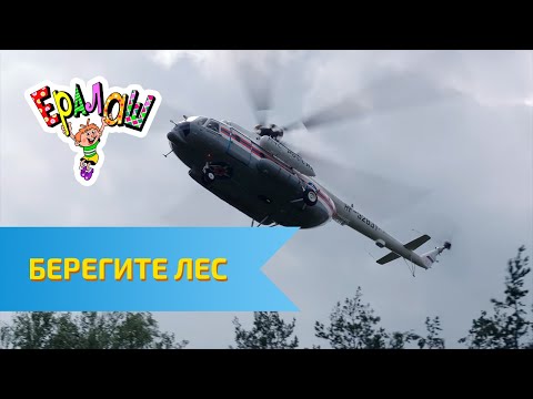 Видео: Ералаш Берегите лес! (Выпуск №315)