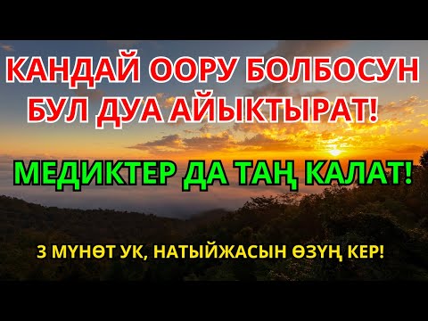 Видео: ДАРЫСЫ ЖОК ООРУГА ШЫПАА! Бул дуба менен керемет мүмкүн! | 2