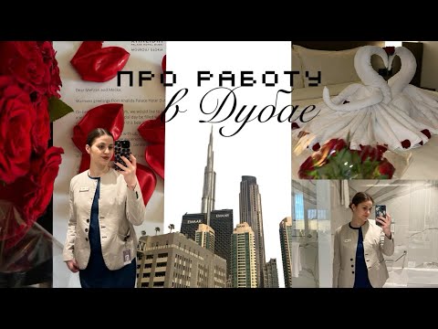 Видео: как найти работу в дубае | работа в отеле | моя история