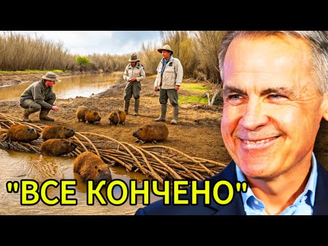 Видео: КАНАДА ВЫПУСТИЛА БОБРОВ. Через 5 лет МЫ НЕ УЗНАЕМ ПЛАНЕТУ