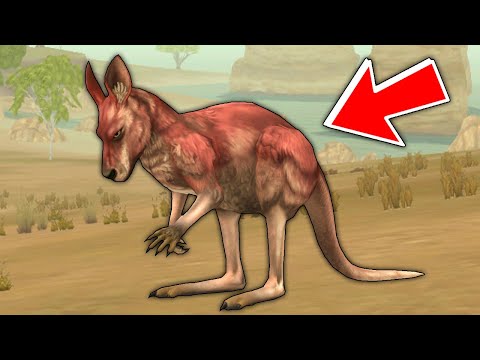 Видео: КЕНГУРУ с НУЛЯ до 200 УРОВНЯ в WILDCRAFT День 3