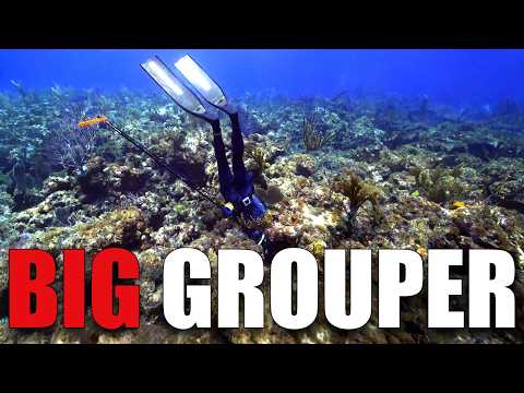 Видео: Невероятная подводная охота на расстоянии | Искупление в африканском помпано