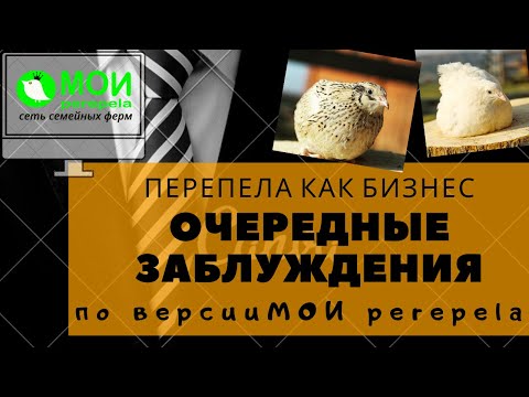 Видео: Перепела как бизнес.  Очередные заблуждения по версии МОИ перепела