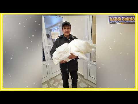 Видео: Марсия аз номи Некбахт ба Некруз Орзугул Хуҷамова 2024 хейло дарднок