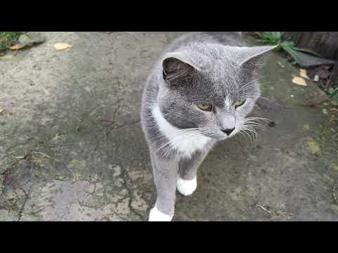 Видео: Пришлось принудить скважину заработать.