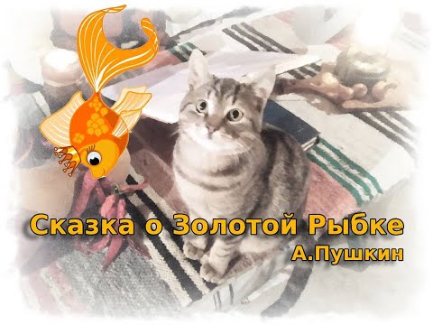 Видео: Сказка о рыбаке и рыбке. А.Пушкин. Софа Мале