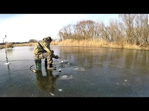 Видео: Рыбалка ,, Южный буг " #рыбак#рыбалка2022#отдых