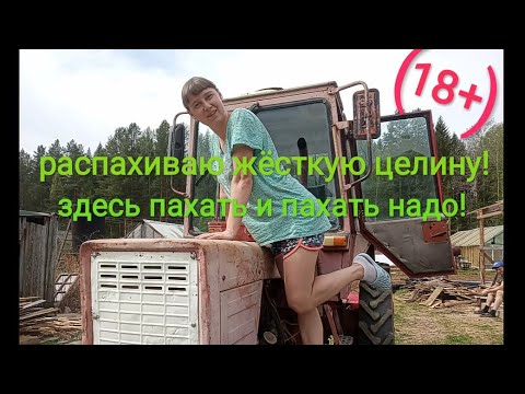 Видео: фреза грызет целину, трактор Т-25