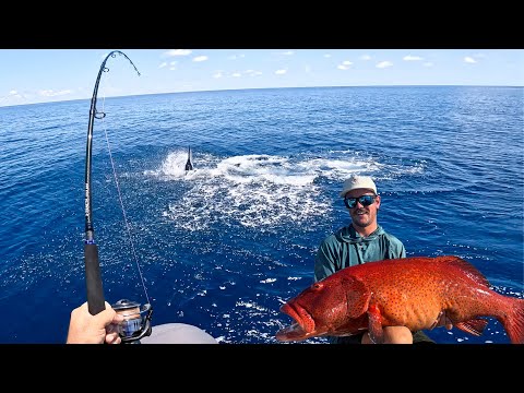 Видео: ЛОВЛЯ ГИГАНТОВ: джиггинг и кастинг