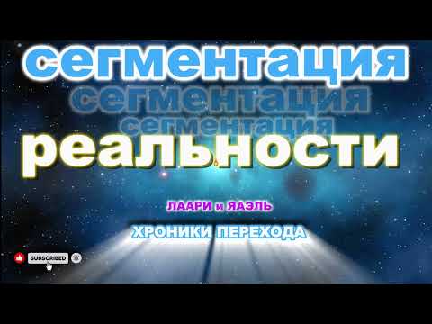 Видео: СЕГМЕНТАЦИЯ РЕАЛЬНОСТИ