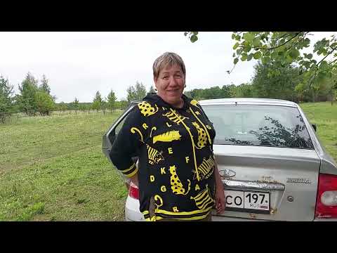 Видео: С Валентиной собираем грибы.