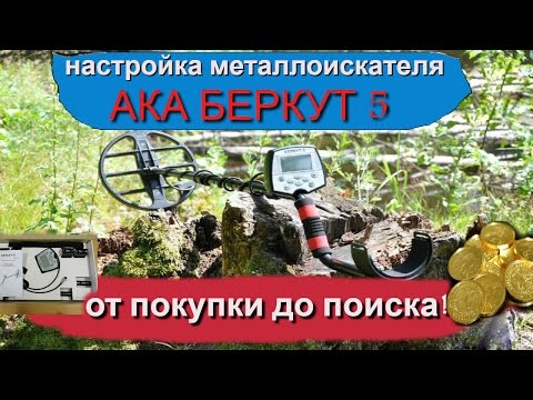 Видео: Настройка металлоискателя АКА Беркут 5.►От покупки до поиска!