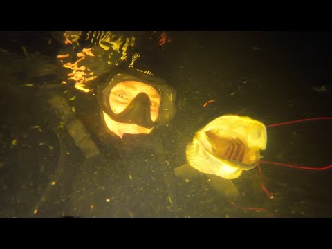 Видео: Підводне полювання 2023р. Найкращі моменти, як це було...