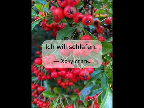 Видео: Выучи эти 400 Sätze auf Deutsch и заговоришь на немецком уже завтра 🇩🇪🌤️| Немецкийдля жизни | Teil 2