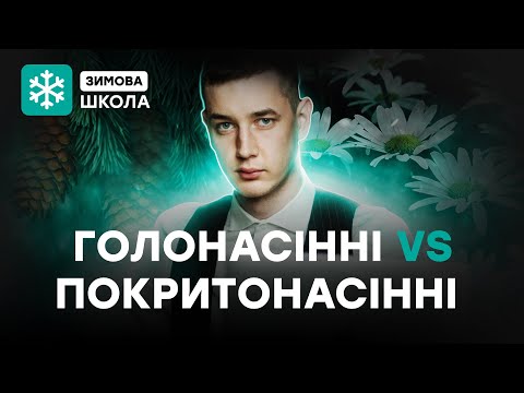 Видео: ГОЛОНАСІННІ vs ПОКРИТОНАСІННІ| БІОЛОГІЯ | TURBO WINTER SCHOOL