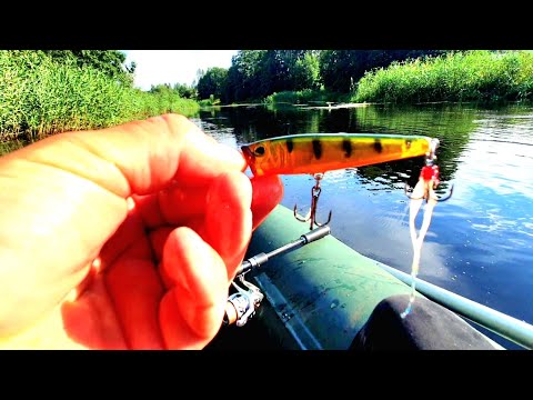 Видео: ХОЧЕШЬ ПОЙМАТЬ МНОГО РЫБЫ?ТОГДА ТЕБЕ НУЖНА ЭТА ПРИМАНКА!!!РЫБАЛКА,ЩУКА ,ОКУНЬ.
