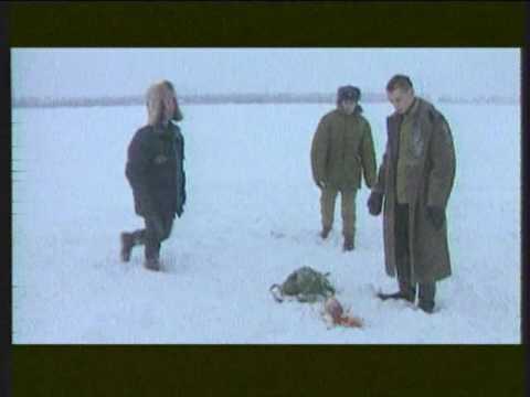 Видео: НЕва (зима, Птица)