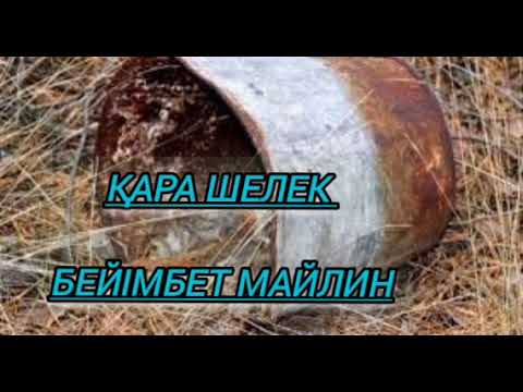 Видео: "ҚАРА ШЕЛЕК". ОҚЫҒАН: ГҮЛДЕРАЙ ҚҰДИЯР