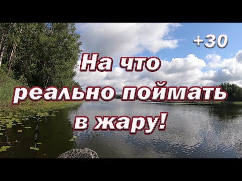 Видео: На что РЕАЛЬНО ПОЙМАТЬ в ЖАРУ! Лучшие 3 ПРИМАНКИ на Щуку В ЖАРУ ЛЕТОМ!! Мой ТОП приманок!