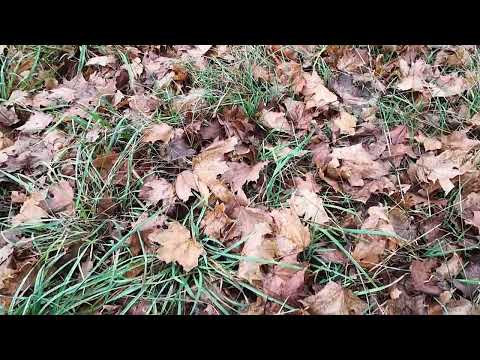 Видео: КРЕМАТОРИЙ!!! ДЛЯ УХЕЛЯНТОВ (иле простых людей)