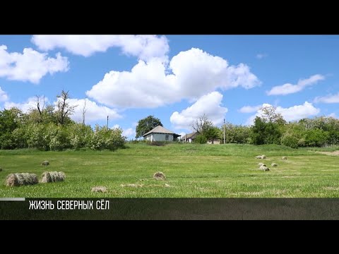 Видео: Приднестровцы из Запорожца, Шевченковки и Мокры. Сельские истории