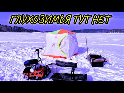 Видео: РЫБАЛКА с НОЧЁВКОЙ:Поклёвки Одна за Одной,Поставил Жерлицы,Готовлю в Чудо-Печке,Отогреваю Собачку.