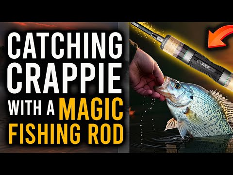 Видео: Ловля осеннего краппи на волшебное удилище! (Сверхлегкая рыбалка)