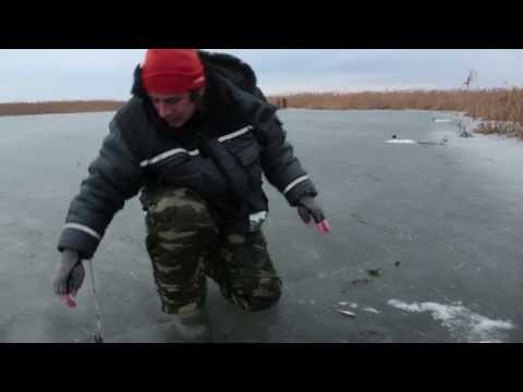 Видео: Зимняя дельта Волги. Хищник. HD версия.