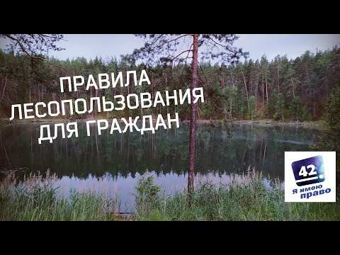 Видео: Что можно и что нельзя делать в лесу?