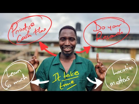 Видео: Если бы я решил основать ферму в 2024 году, я бы сделал это.