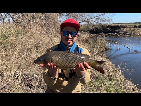 Видео: Ловил сома, поймал сазана, р Уды, 2-3 апреля 2025