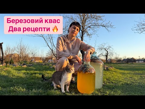 Видео: Березовий квас. Два рецепти перевірених часом. Життя в селі.
