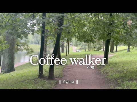 Видео: Неспешные будни в Петербурге