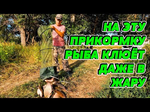 Видео: На такую прикормку рыба клюёт даже в жару! Рыбалка на фидер летом. #Рыбалка #фидер  #лещ