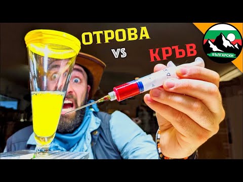 Видео: Човешка Кръв срещу Змийска Отрова 🐍 Уникален Експеримент | Brave Wilderness Български