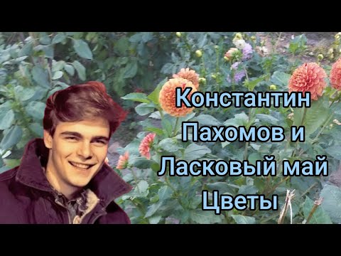 Видео: Костя Пахомов ( Ласковый май) - Цветы ( не официальный клип ).