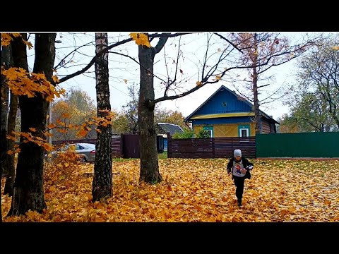 Видео: Теперь он облегчит нашу жизнь в деревне!/Сажаю чеснок, укрываю виноград/Купили дом в деревне