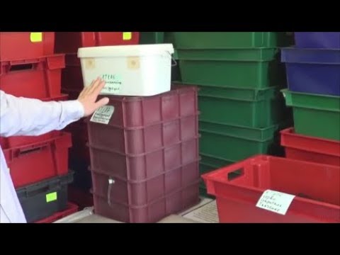 Видео: АТ187 Вермикомпостер новый Классный