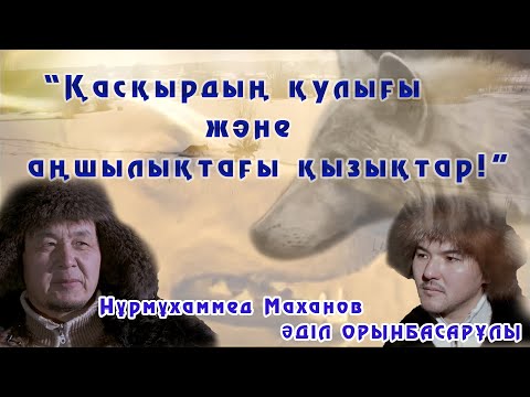 Видео: ЕР ҚАНАТЫ. “Қасқырдың қулығы және аңшылықтағы қызықтар!”