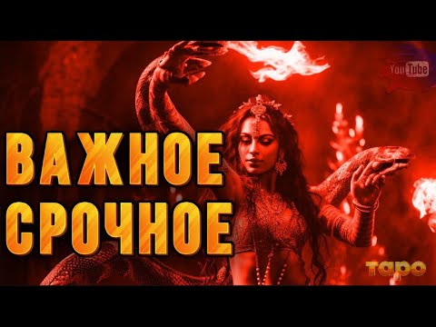 Видео: ‼️ЖЕСТЯТ С ВАМИ‼️СРОЧНОЕ ПОСЛАНИЕ👀❤️‍🔥ПОМОЩЬ🙏🙏🔮🔮👐👐✨