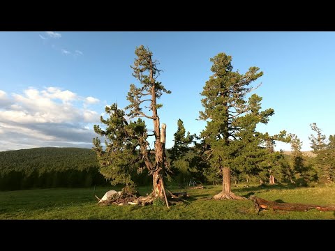 Видео: Алтай 77-й маршрут
