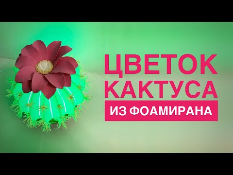Видео: Цветок кактуса из фоамирана/DIY Cactus flower