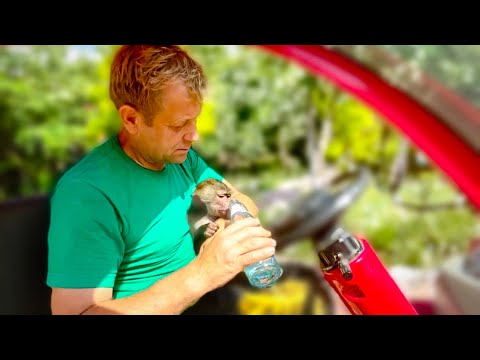 Видео: Вы ПОСМОТРИТЕ на Люську! Так тихо она себя ведет ТОЛЬКО на руках у Олега Зубкова!!!