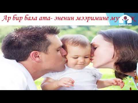 Видео: Саламатсыңбы жай! / Айлана чөйрө менен танышуу