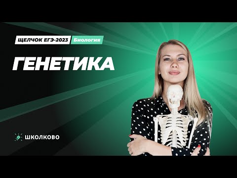 Видео: Генетика
