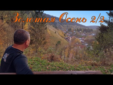 Видео: Honda VFR 1200. Золотая Осень 2/2. Harz 10-2022.