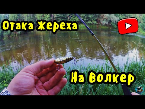 Видео: ЧТО ТАКОЕ ВОЛКЕР И КАК НА НЕГО ЛОВИТЬ