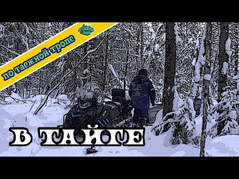 Видео: Жизнь в тайге. Один в лесу. Мороз -30 С.