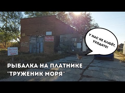 Видео: Наша ХУДШАЯ рыбалка на платнике / Огорчениям нет предела / Сюда больше не приедем